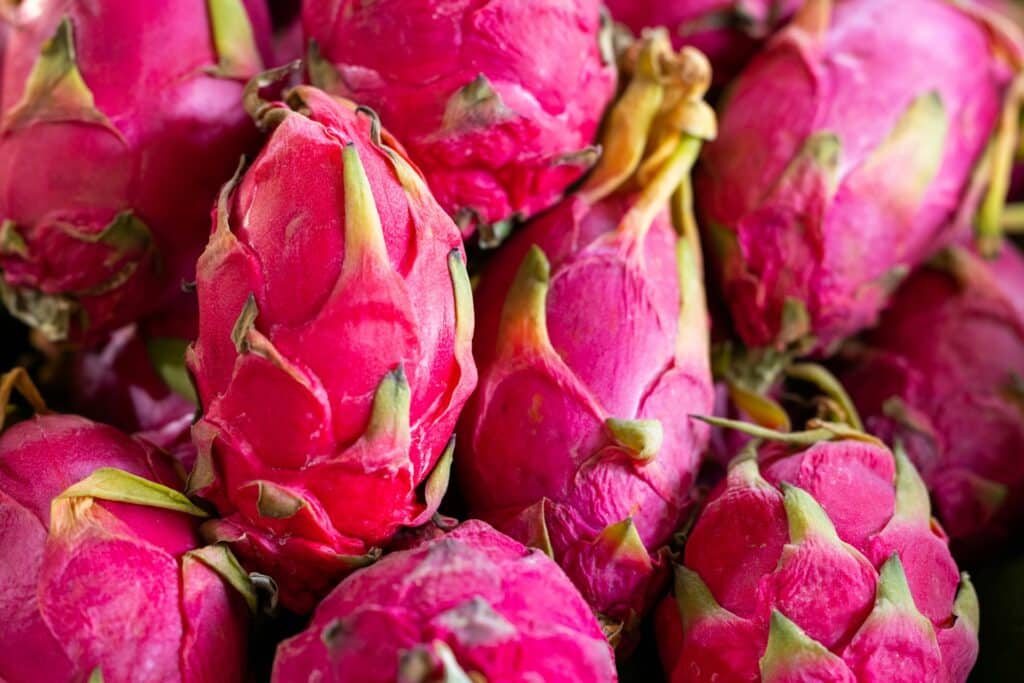 Frutto della Pitaya (dragon fruit)